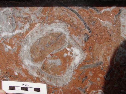 PA130069