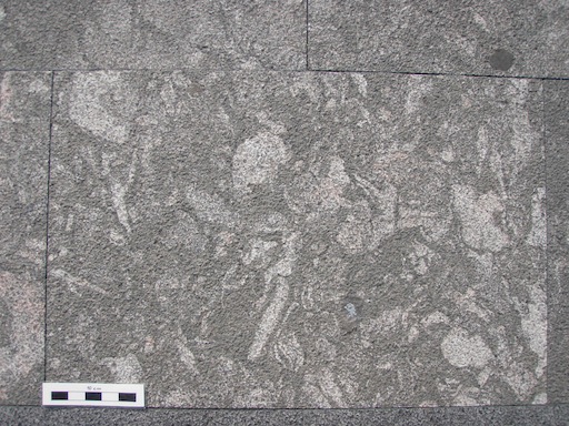 PA130157