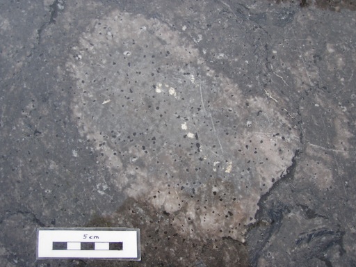 PA130169